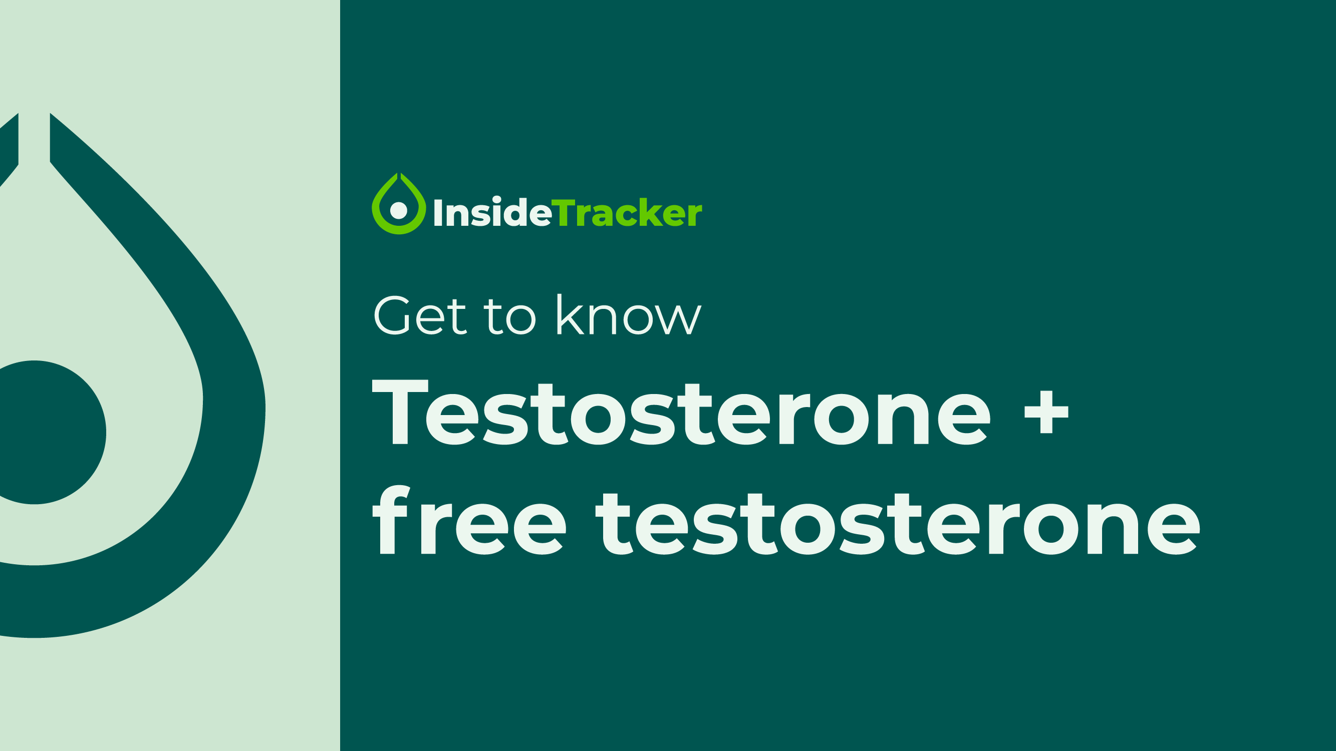 InsideTracker Pro Biomarker Deep Dive Strength And Endurance insidetracker-pro-biomarker-deep-dive-strength-and-endurance